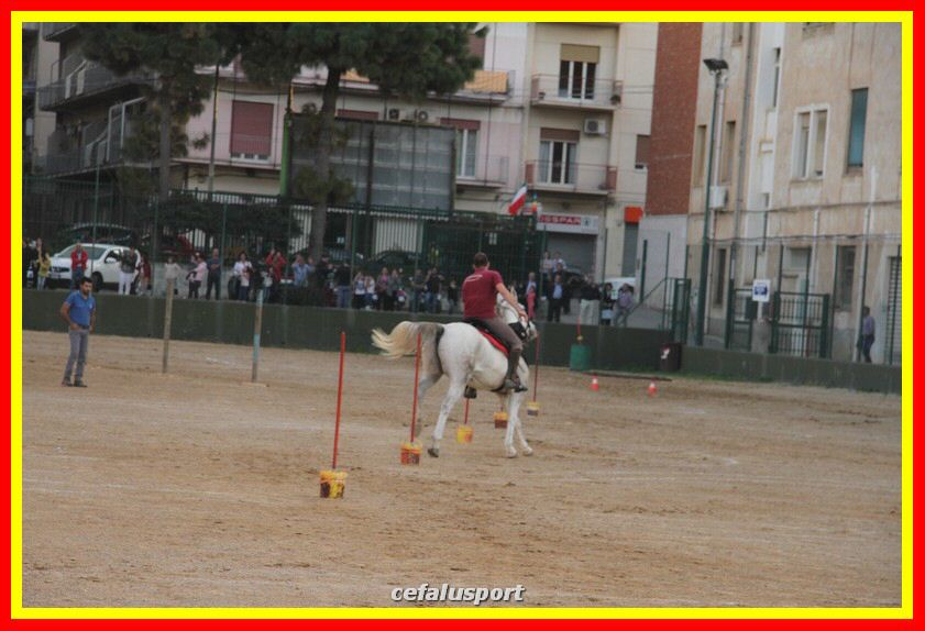 161106 equestre 020_tn.jpg